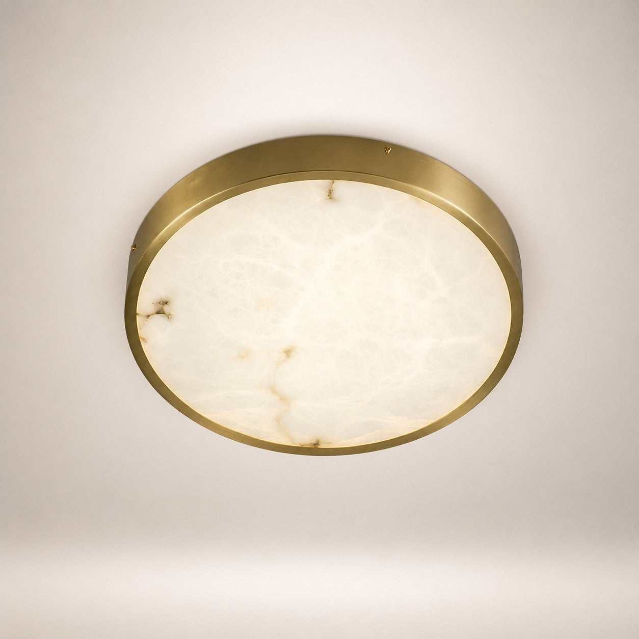 Camiro Ceiling Light