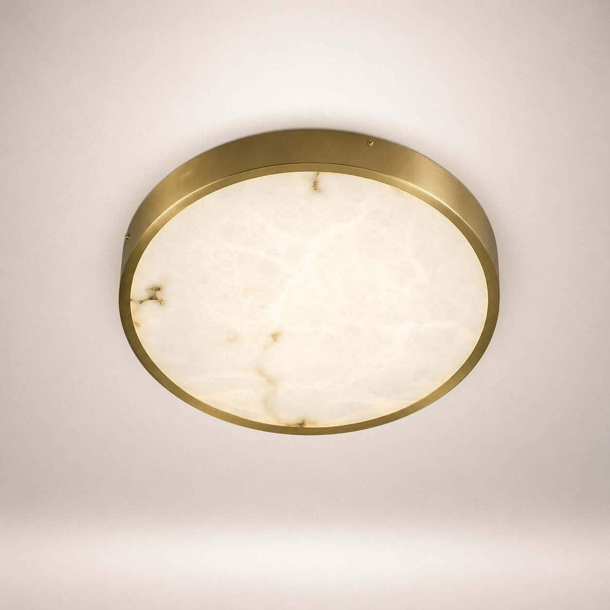 Camiro Ceiling Light
