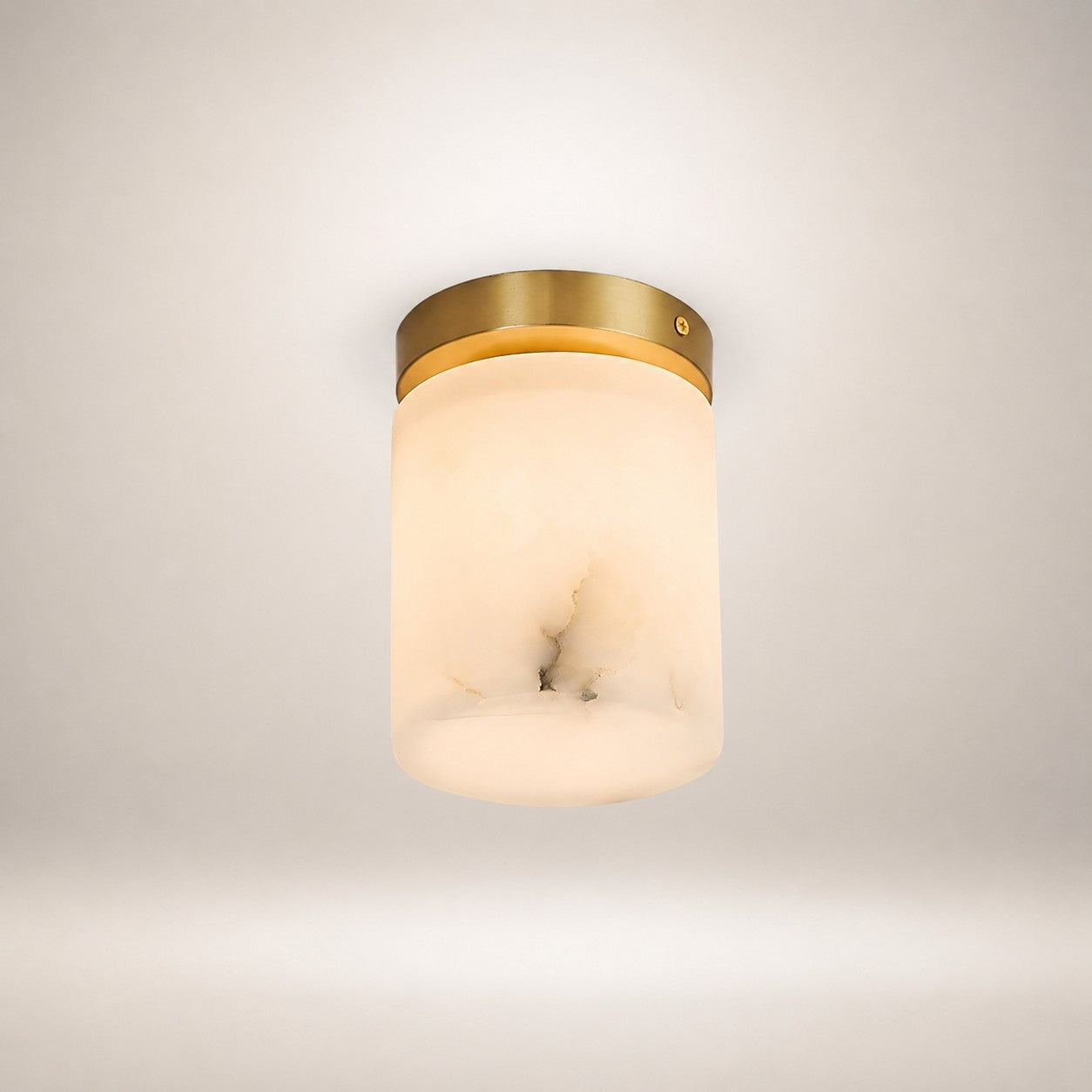 Virex Ceiling Light