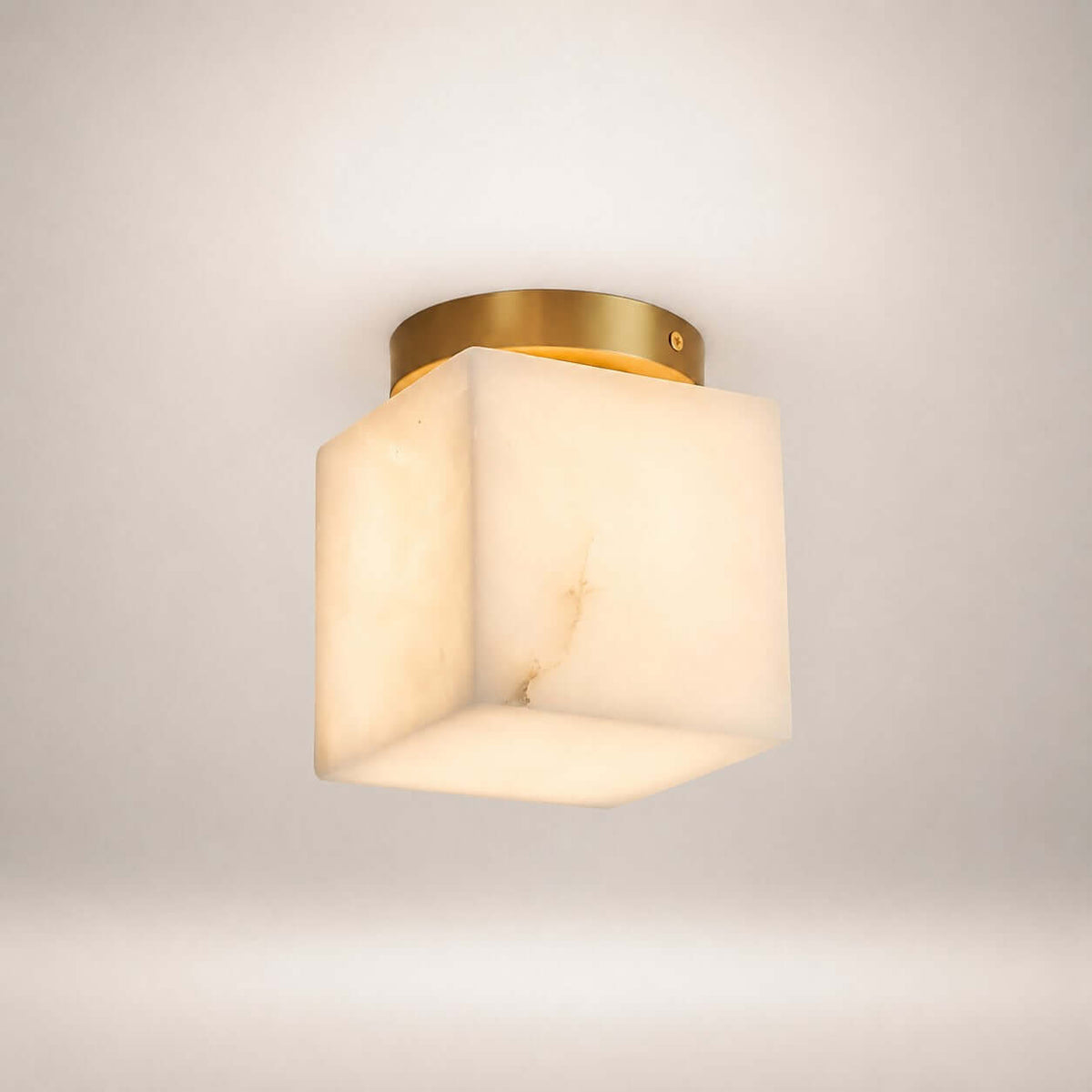 Virex Ceiling Light