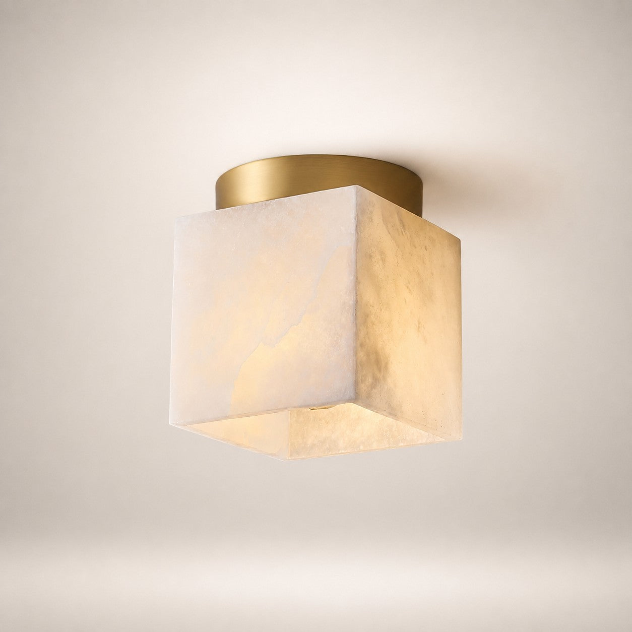 Vylora Ceiling Light