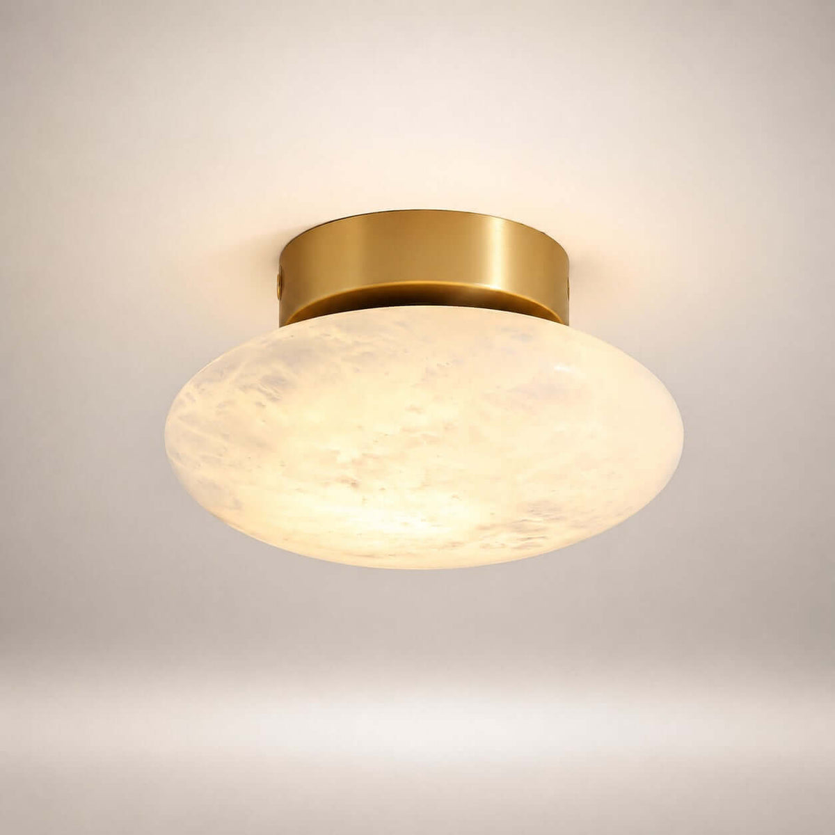 Zarion Ceiling Light
