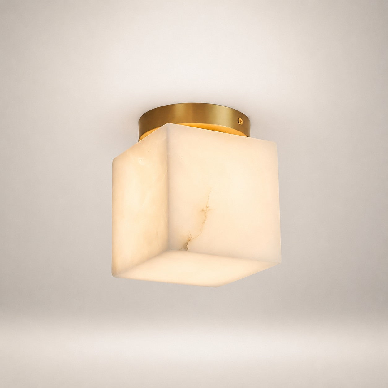 Virex Ceiling Light