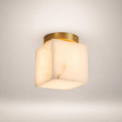 Virex Ceiling Light